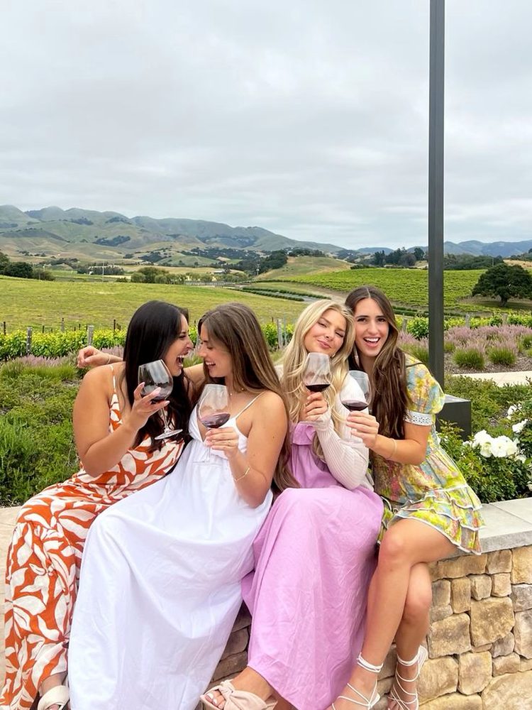 Four friends laughing with red wine on a stone wall above the vineyards