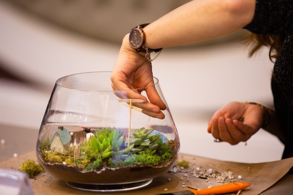 Close up of hands placing tiny succulents into a glass terrarium